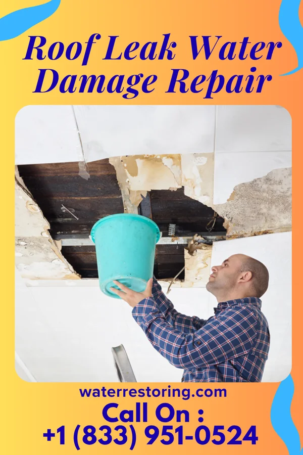 Roof Leak Water Damage Repair in Ash Grove, MO
